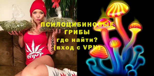 прущие крисы Армянск