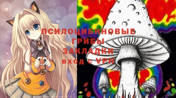 прущие крисы Армянск